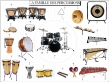 La Famille des percussions